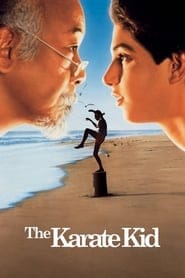 Karate Kid Vider (1984) - Cały Film