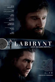 Labirynt Vider (2013) - Cały Film