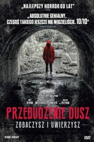 Przebudzenie dusz Vider (2018) - Cały Film