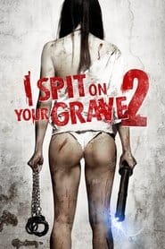 Bez Litości 2 Vider (2013) - Cały Film
