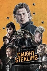 Złodziej z przypadku Vider (2025) - Cały Film