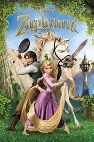Zaplątani Vider (2010) - Cały Film