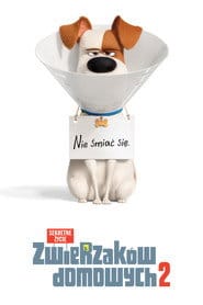 Sekretne życie zwierzaków domowych 2 Vider (2019) - Cały Film