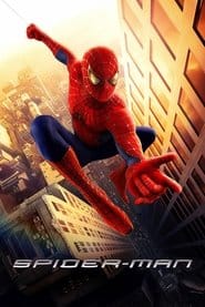 Spider-Man Vider (2002) - Cały Film