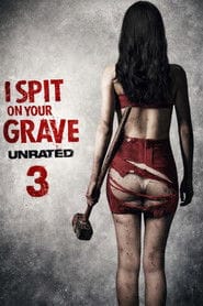 Bez Litości 3 Vider (2015) - Cały Film