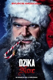Dzika noc Vider (2022) - Cały Film