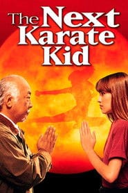 Karate Kid 4. Mistrz i uczennica Vider (1994) - Cały Film