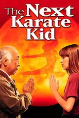 Karate Kid 4. Mistrz i uczennica Vider (1994) - Cały Film