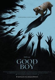 Good boy Vider (2025) - Cały Film