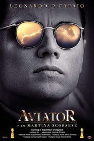 Aviator Vider (2004) - Cały Film