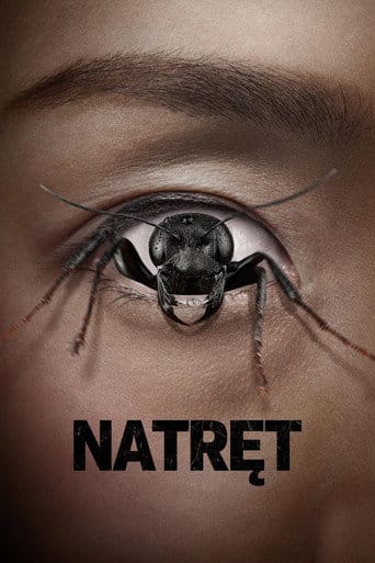 Natręt Vider (2025) - Cały Film