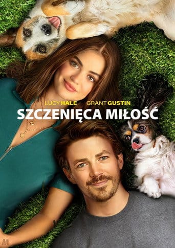 Szczenięca miłość Vider (2023) - Cały Film