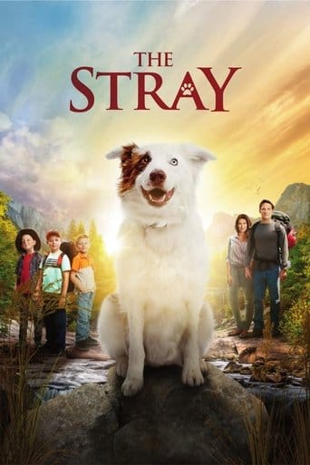 The Stray Vider (2017) - Cały Film