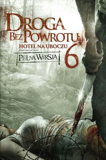 Droga bez powrotu 6: Hotel na uboczu Vider (2014) - Cały Film