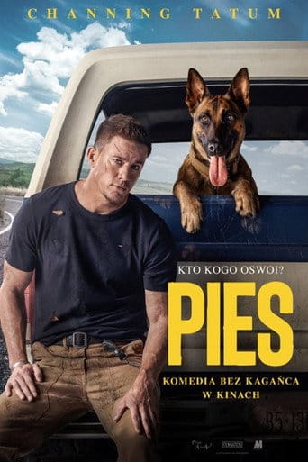Pies Vider (2022) - Cały Film