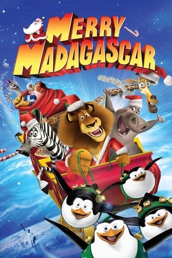 Madagwiazdka Vider (2009) - Cały Film