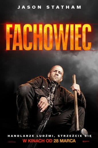 Fachowiec Vider (2025) - Cały Film