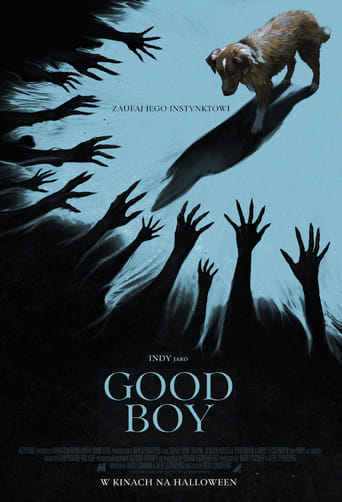 Good boy Vider (2025) - Cały Film