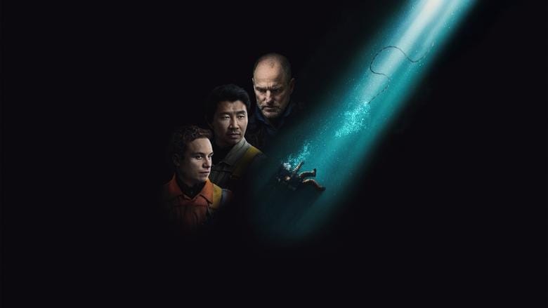 Ostatni oddech Vider (2025) - Cały Film