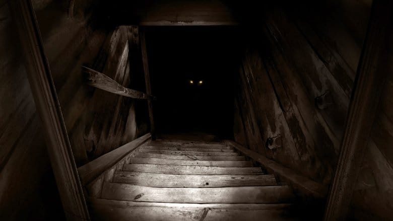 Boogeyman Vider (2023) - Cały Film