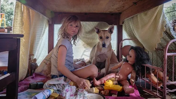 Dziś wieczorem nie schodźmy na psy Vider (2025) - Cały Film
