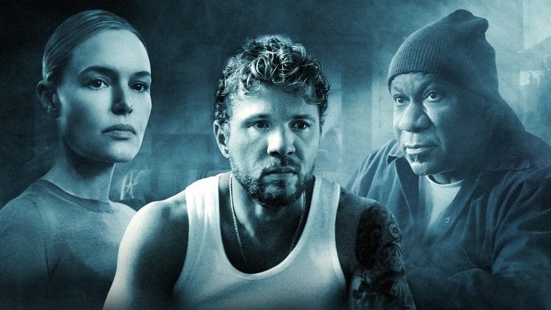 Włamywacz Vider (2023) - Cały Film