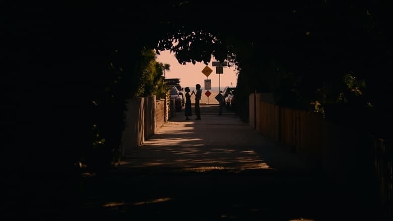 Lekcja miłości Vider (2024) - Cały Film