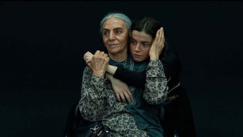 Shahed Vider (2025) - Cały Film