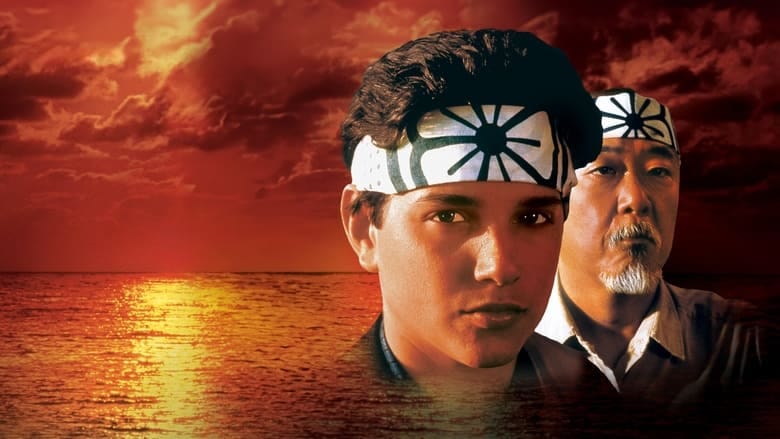 Karate Kid Vider (1984) - Cały Film