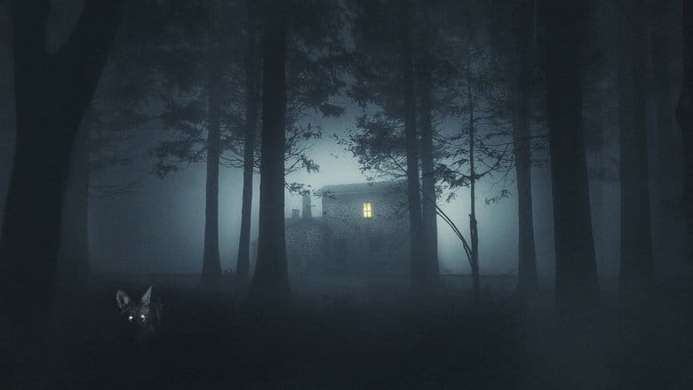 Miasteczko Shelby Oaks Vider (2025) - Cały Film