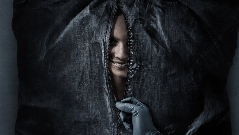 Uśmiechnij się Vider (2022) - Cały Film