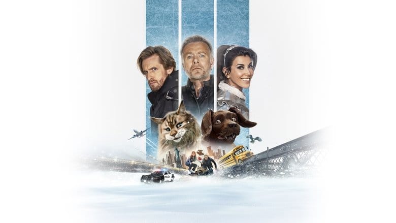 Pies i kot Vider (2024) - Cały Film