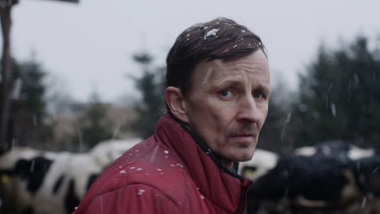 Tyle co nic Vider (2024) - Cały Film