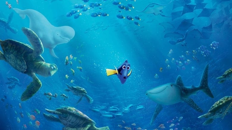 Gdzie jest Dory Vider (2016) - Cały Film